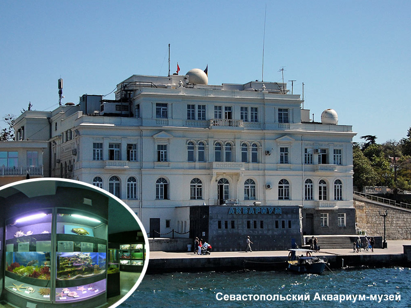 Севастопольский морской Аквариум-музей